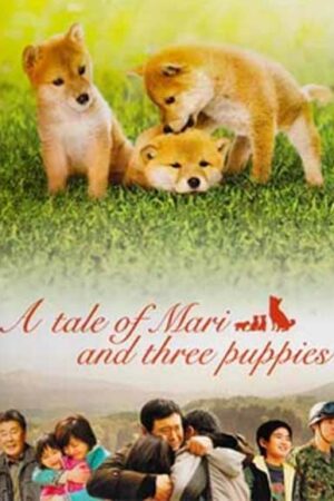 История Мари и трёх щенков
