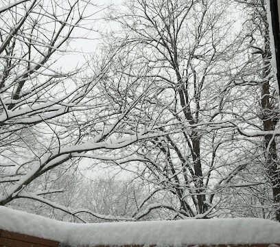 AC9h4noGrmAsQJSXYro21fw2JC2P-kJnSh7lFnBgxw7RGpka4SeKTEfhfevXyZvOhHRNPPBO4PHn2hv6YCsFoUeDoAlJq67PoWD3xTsprlXxbZwiOQod-jaxW_-mC7oj9tjt5SXZSVasdgw408-h544-k-no.jpg
