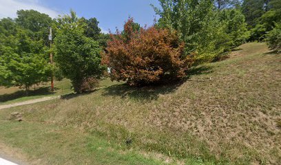 thumbnail-439.jpg