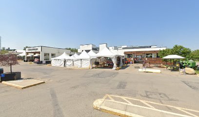 thumbnail-493.jpg