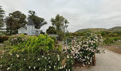 thumbnail-526.jpg
