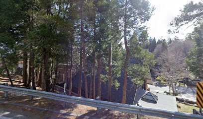thumbnail-704.jpg