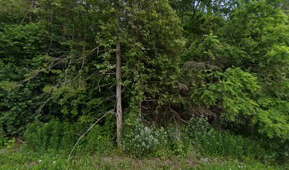 thumbnail-97.jpg